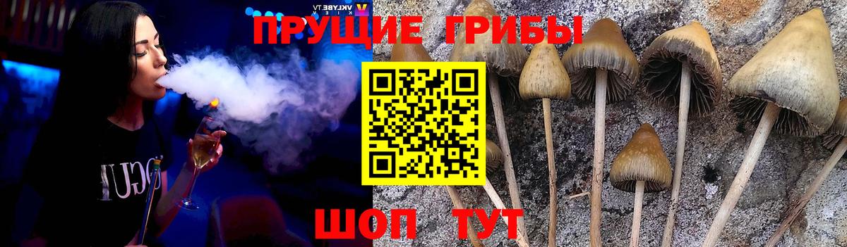 Псилоцибиновые грибы ЛСД  Вход с VPN  Галлюциногенные грибы Psilocybe  Еманжелинск 
