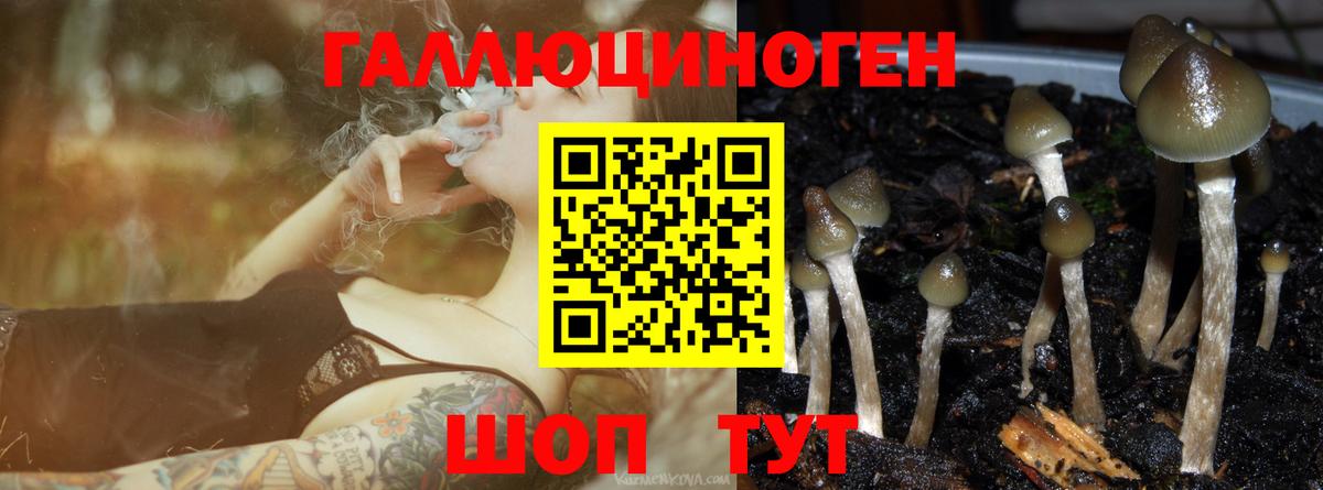 Псилоцибиновые грибы MAGIC MUSHROOMS Еманжелинск